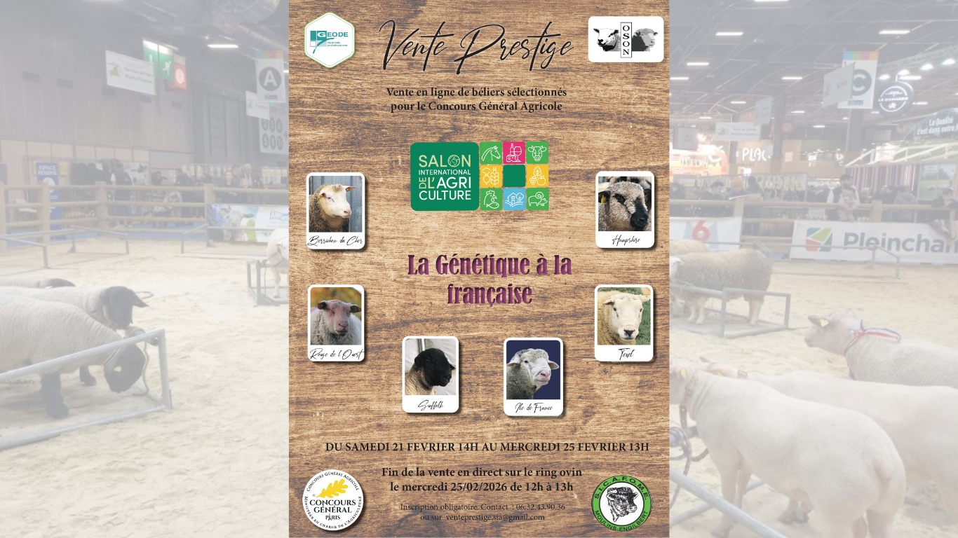 VENTE SIA OSON GEONDE 2026