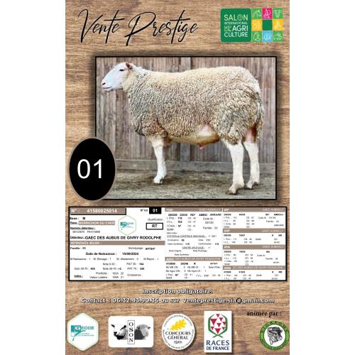 LOT 1