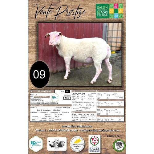 LOT 9