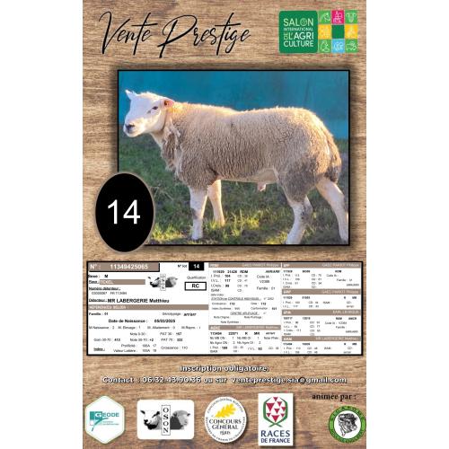 LOT 14