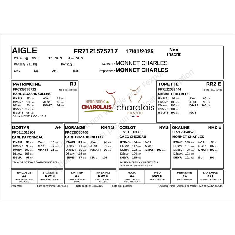 AIGLE